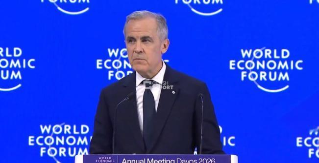 加拿大总理卡尼激进发言：“强国可以选择单打独斗。他们有市场规模、有军事能力，有谈