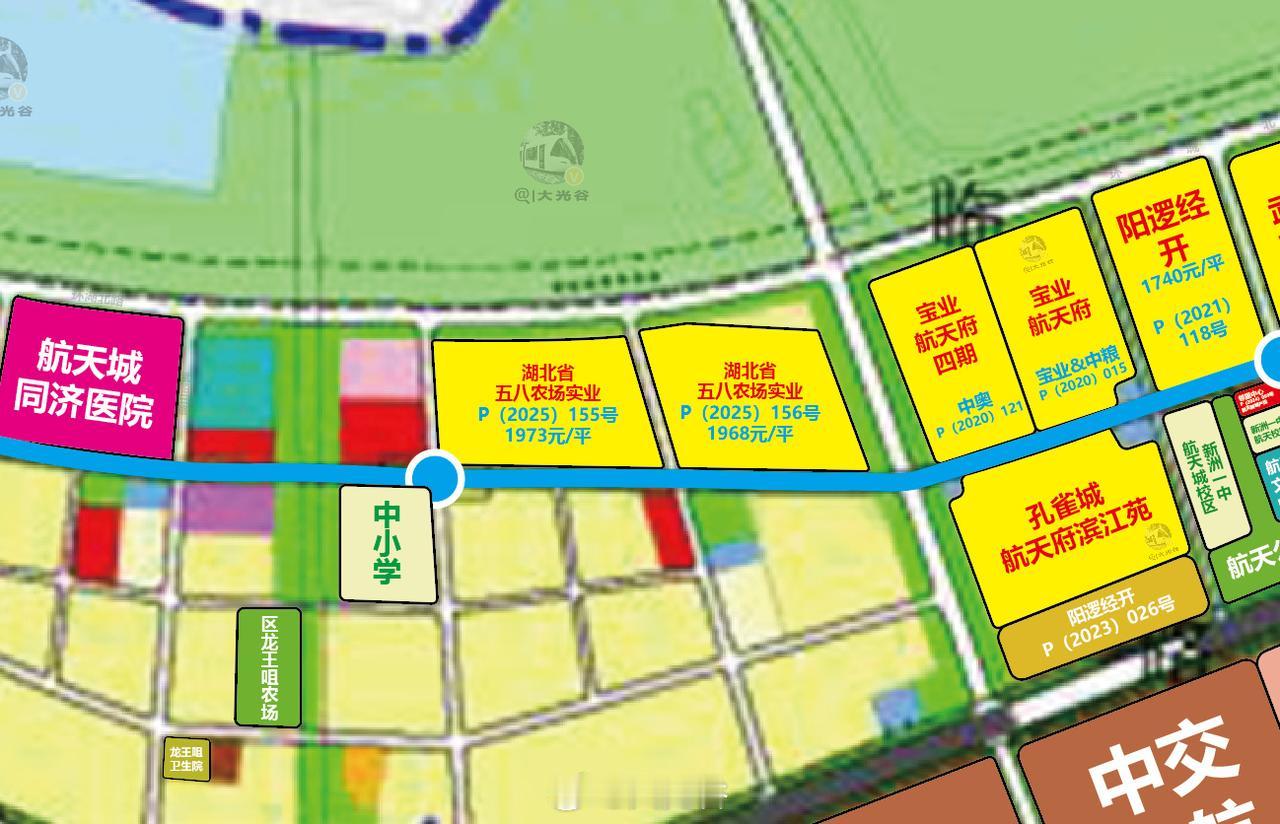 新洲双柳航天城9宗地块出让成交12月9日，武汉市拍卖出让国有建设用地使用权补充