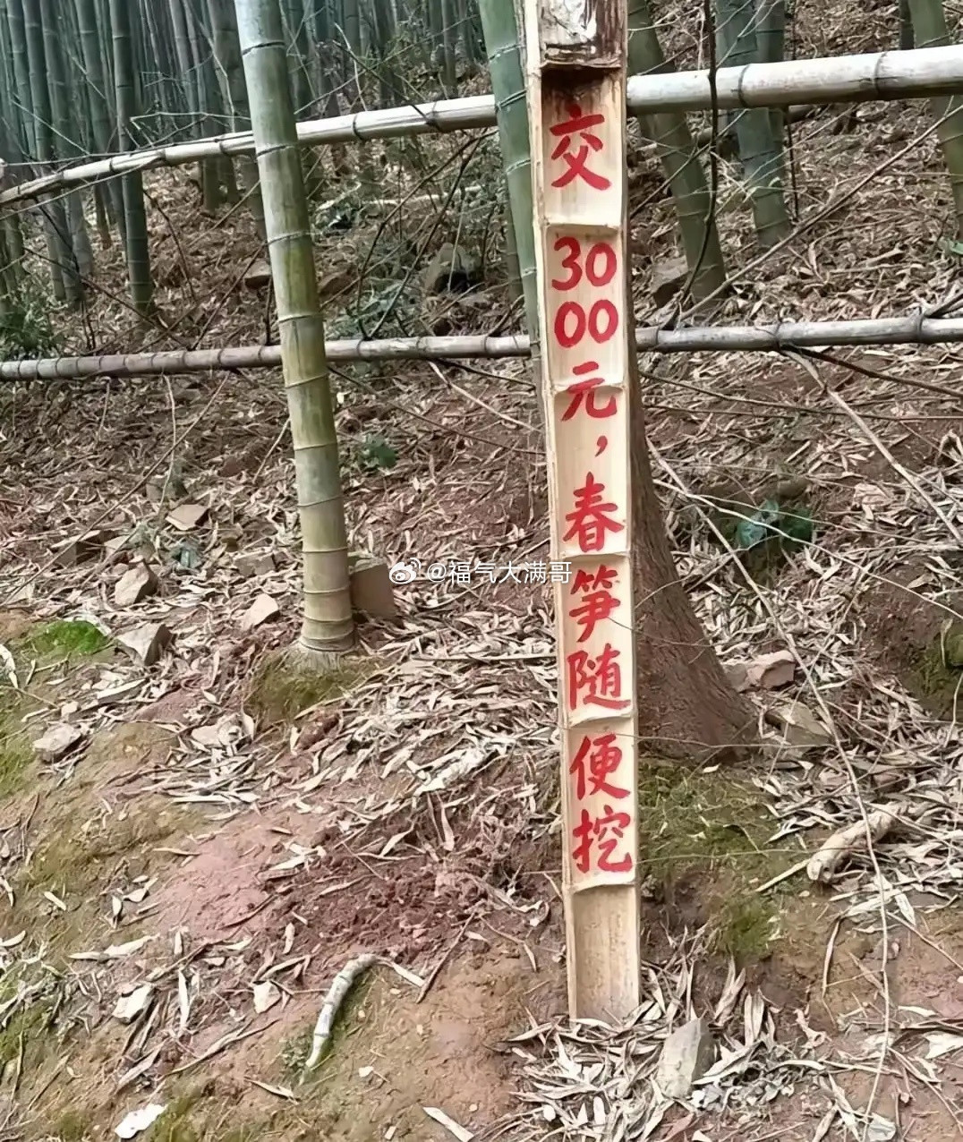 交三啥？黄金随便挖？[捂脸哭][捂脸哭][捂脸哭]​​​