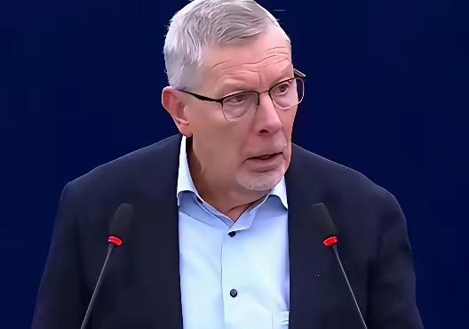 就这一句灵魂拷问，直接让吵翻天的欧洲议会瞬间噤声。“中国凭什么不能像我们一样，堂