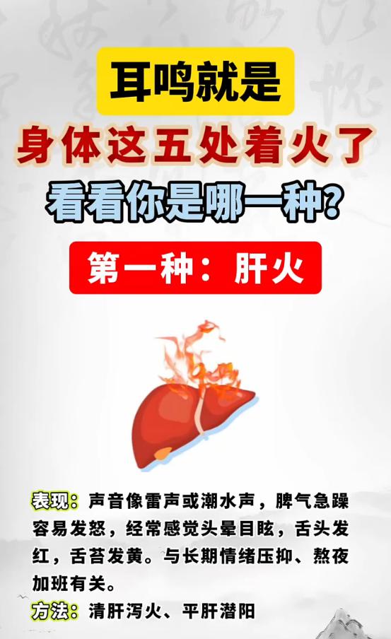 总耳鸣是哪里上火？一文看懂5类耳鸣辨证与饮食调理