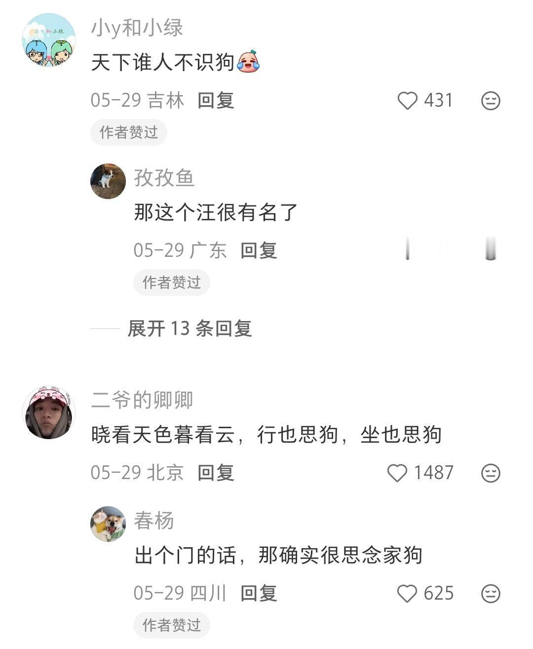 把诗词里的君改成狗以后，诗意好像更加贴合了怎么回事