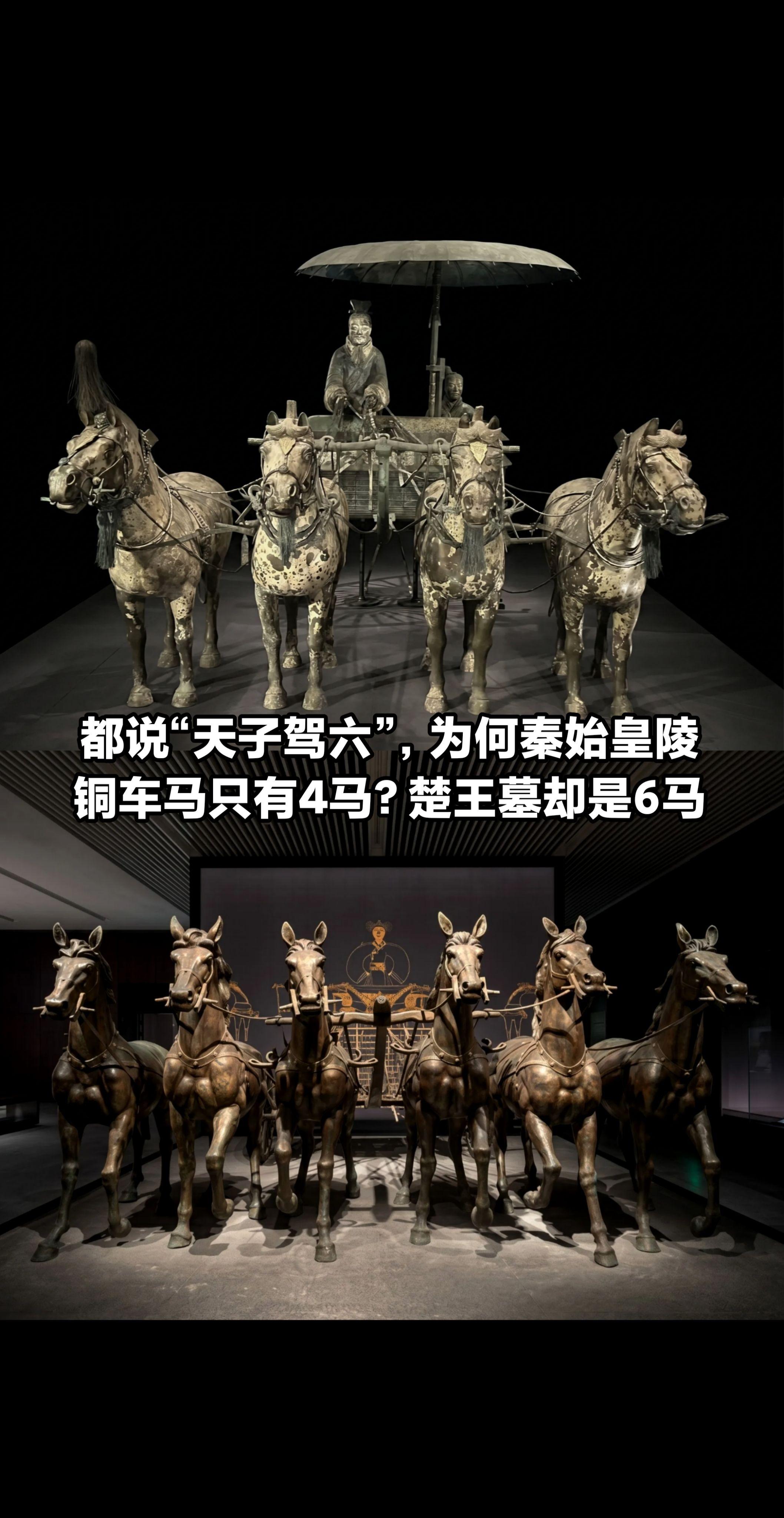 楚王敢用天子六马，秦始皇陵却只有四马？