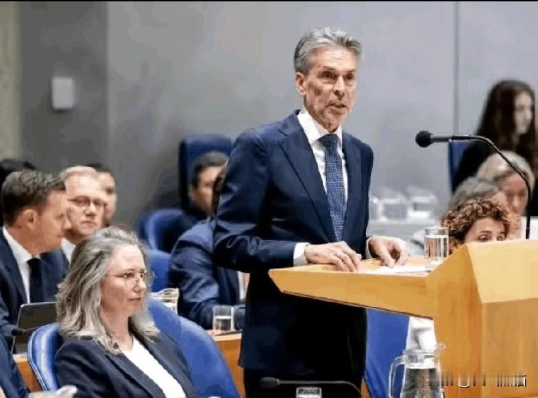 荷兰有点大意了，公开承认没想到中方竟然反击。这是荷兰部长在近期公开承认的，当时