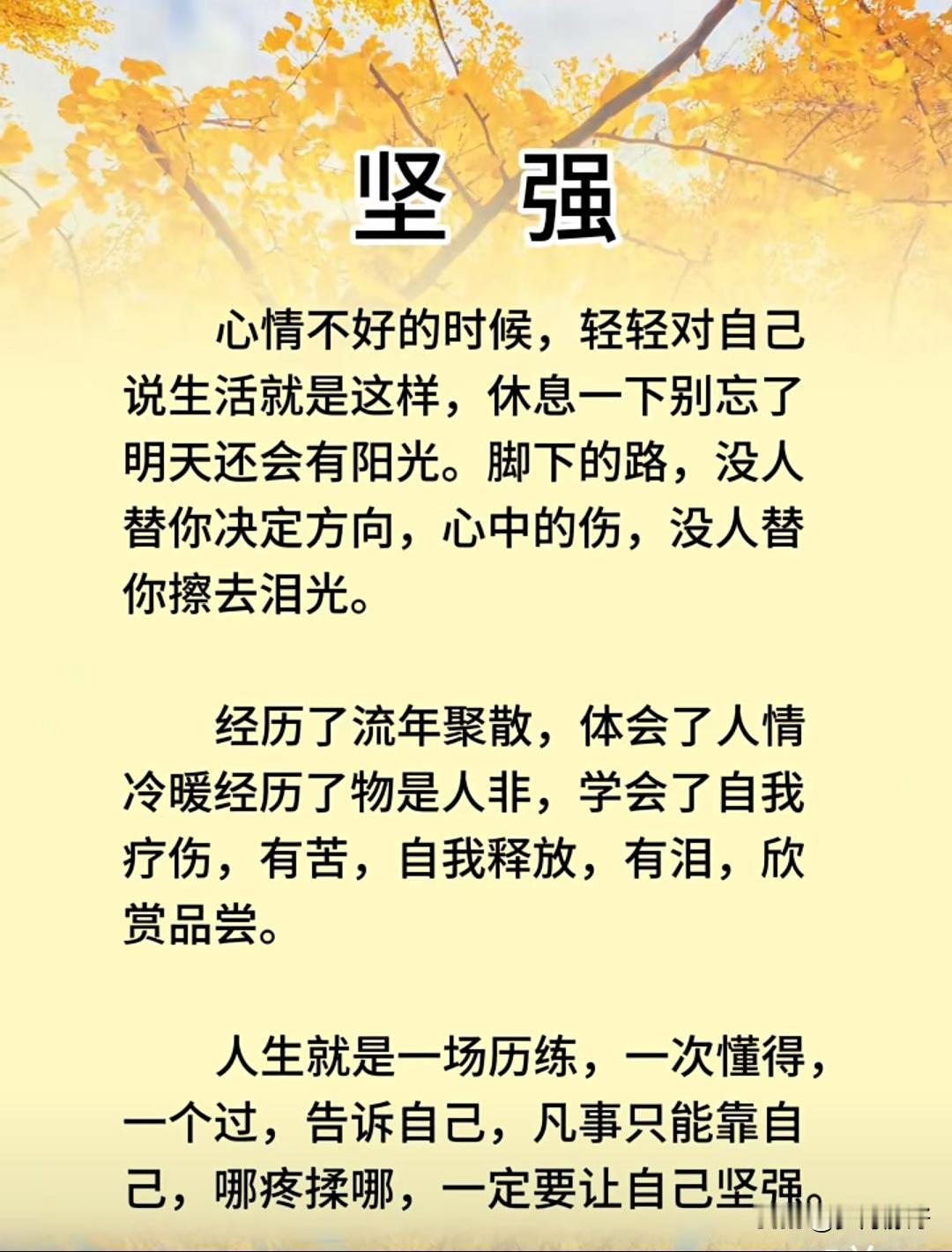 生活难免有风雨，真正决定走多远的，往往不是起点，而是能否在挫败中保持不放弃的态度
