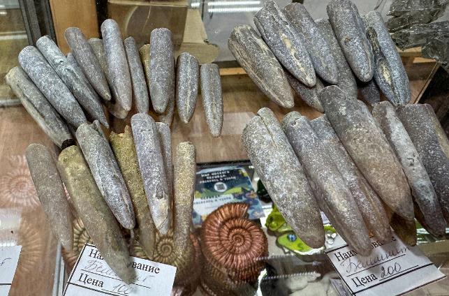 海边捡到“魔鬼手指”千万别扔！它可能来自1.5亿年前的海洋很多人在河边、海滩或