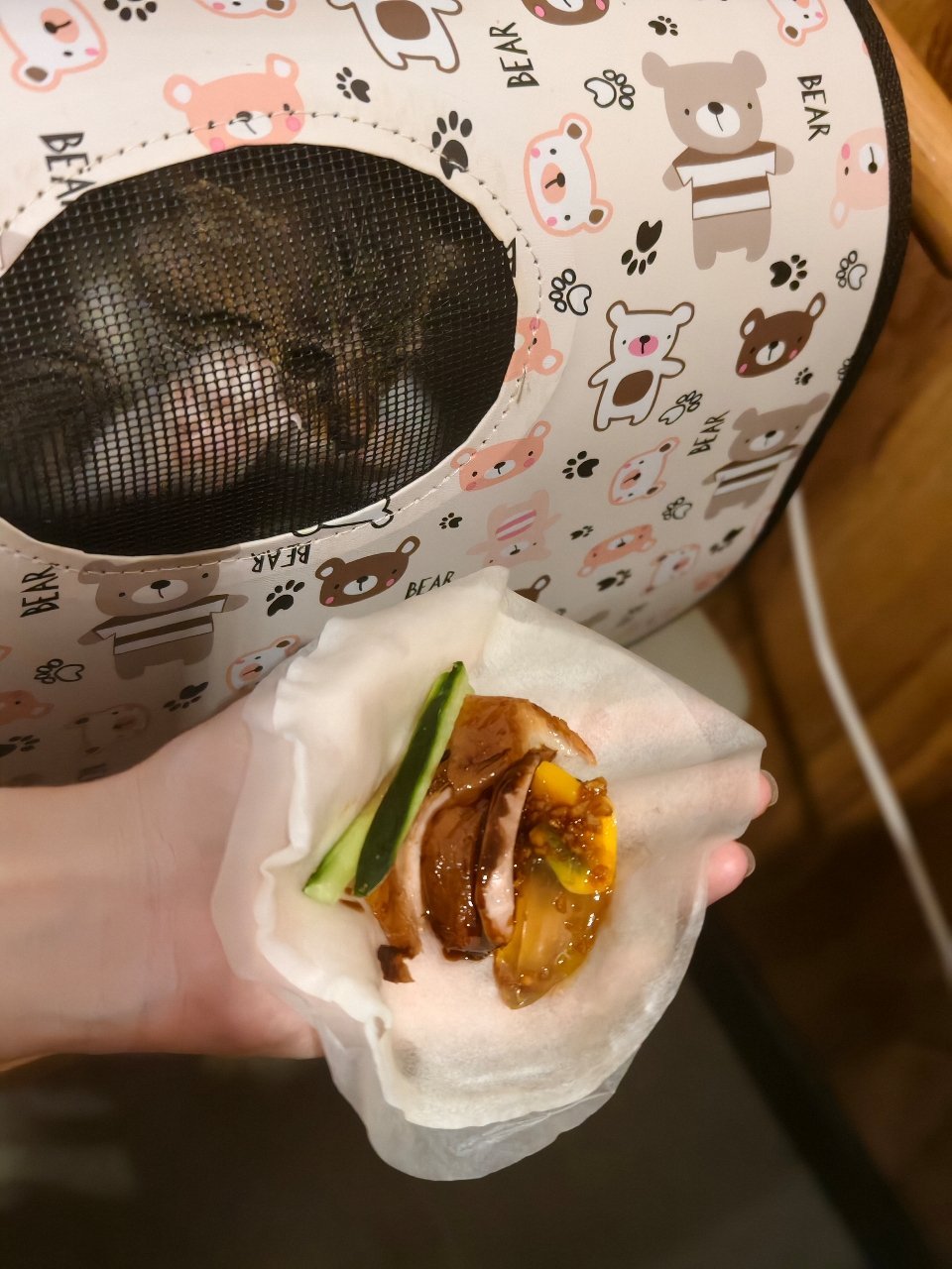 鸭梨一只小猫​​​