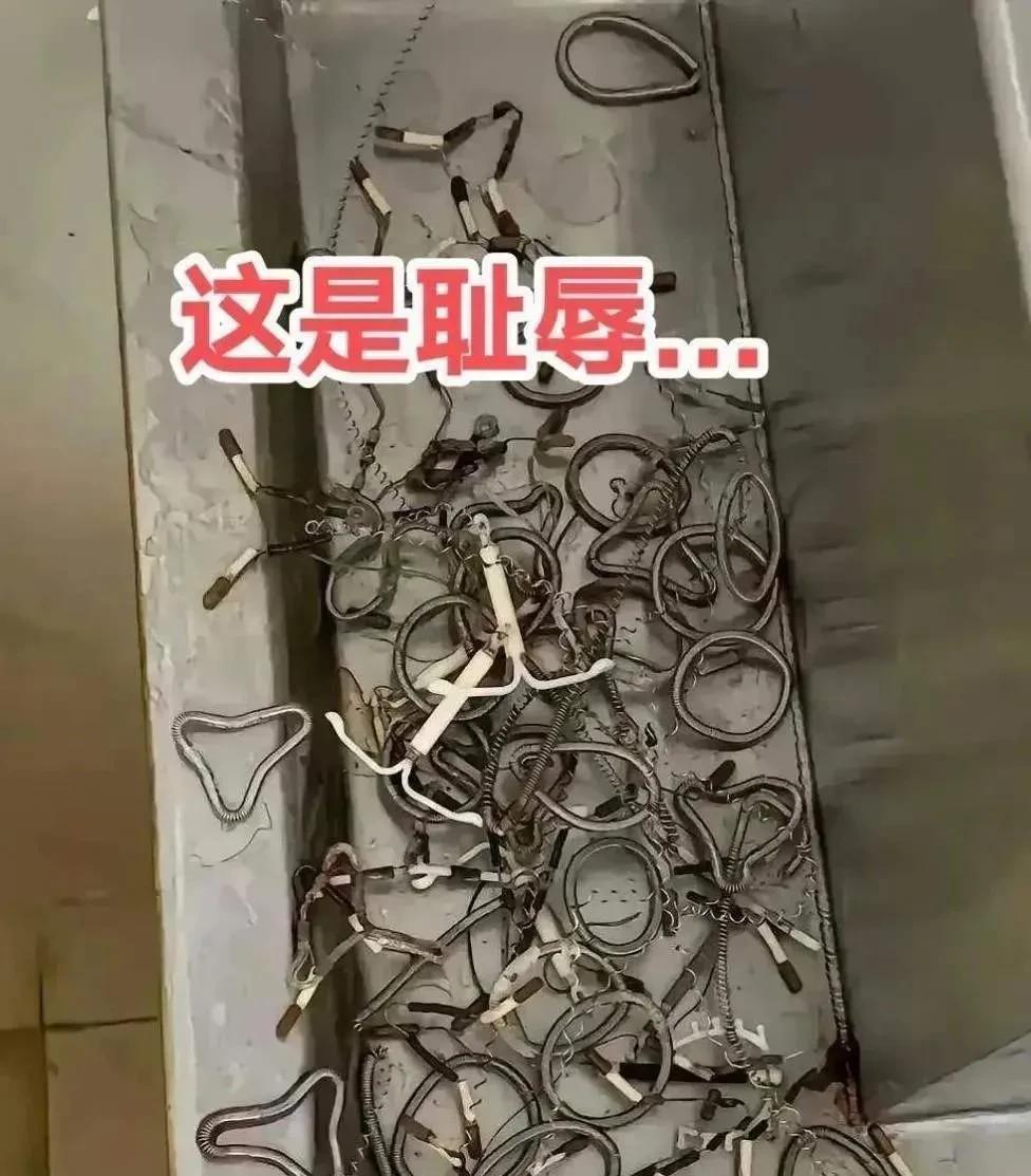 谁知道这是什么？有知道的吗？