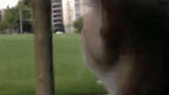 624981281486797840.jpg?id=0