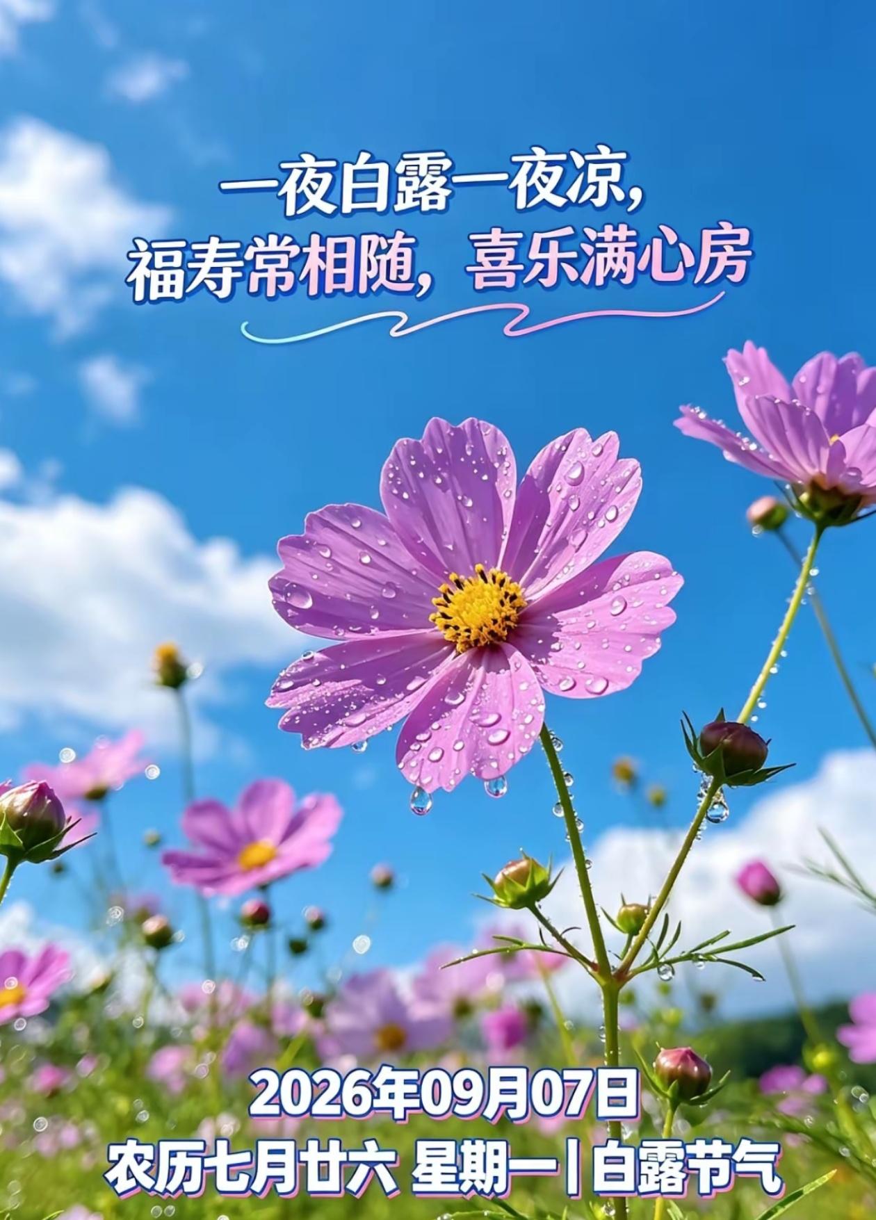 2026./9月7日，朝露泽万物，时光酿美好💦🌅初露染湿晨华