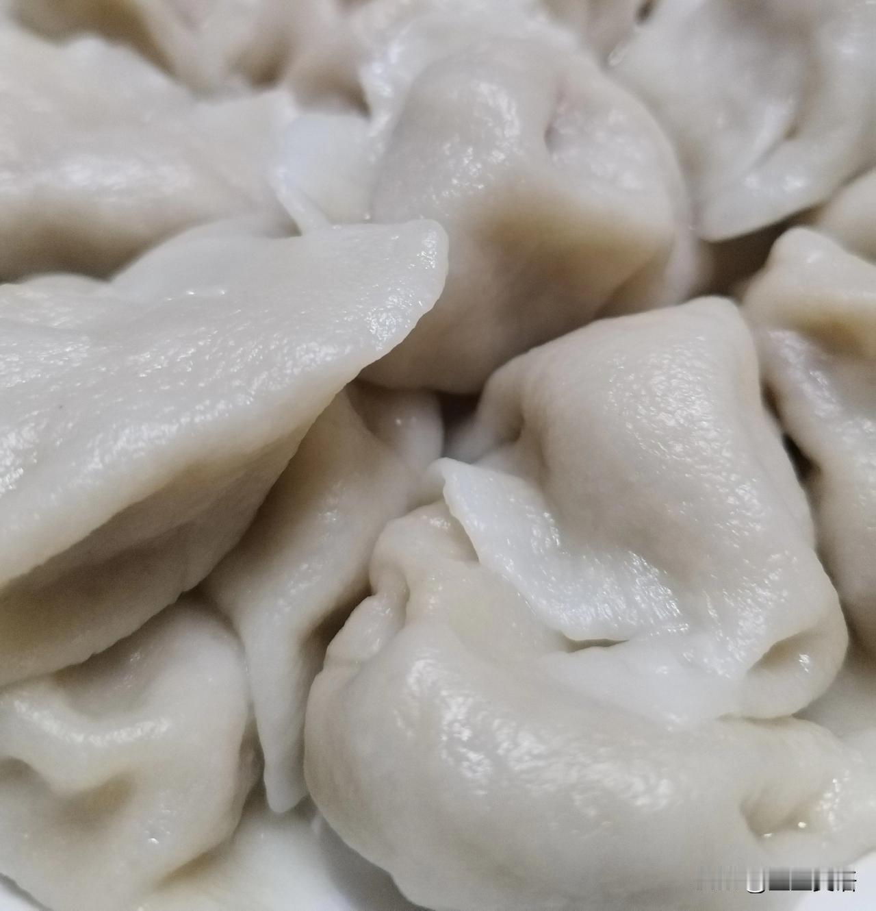 早上吃包子，晚上吃饺子，这就是山东人的爱好[捂脸哭]白菜猪肉馅儿，冬天的美味，天