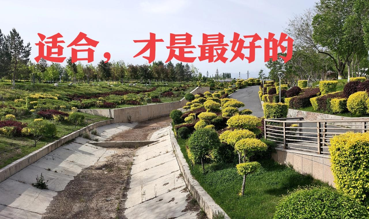 如果一个外乡人，不是为了在上海创业，而跑到上海买个房子，真的是不合适。上海市不