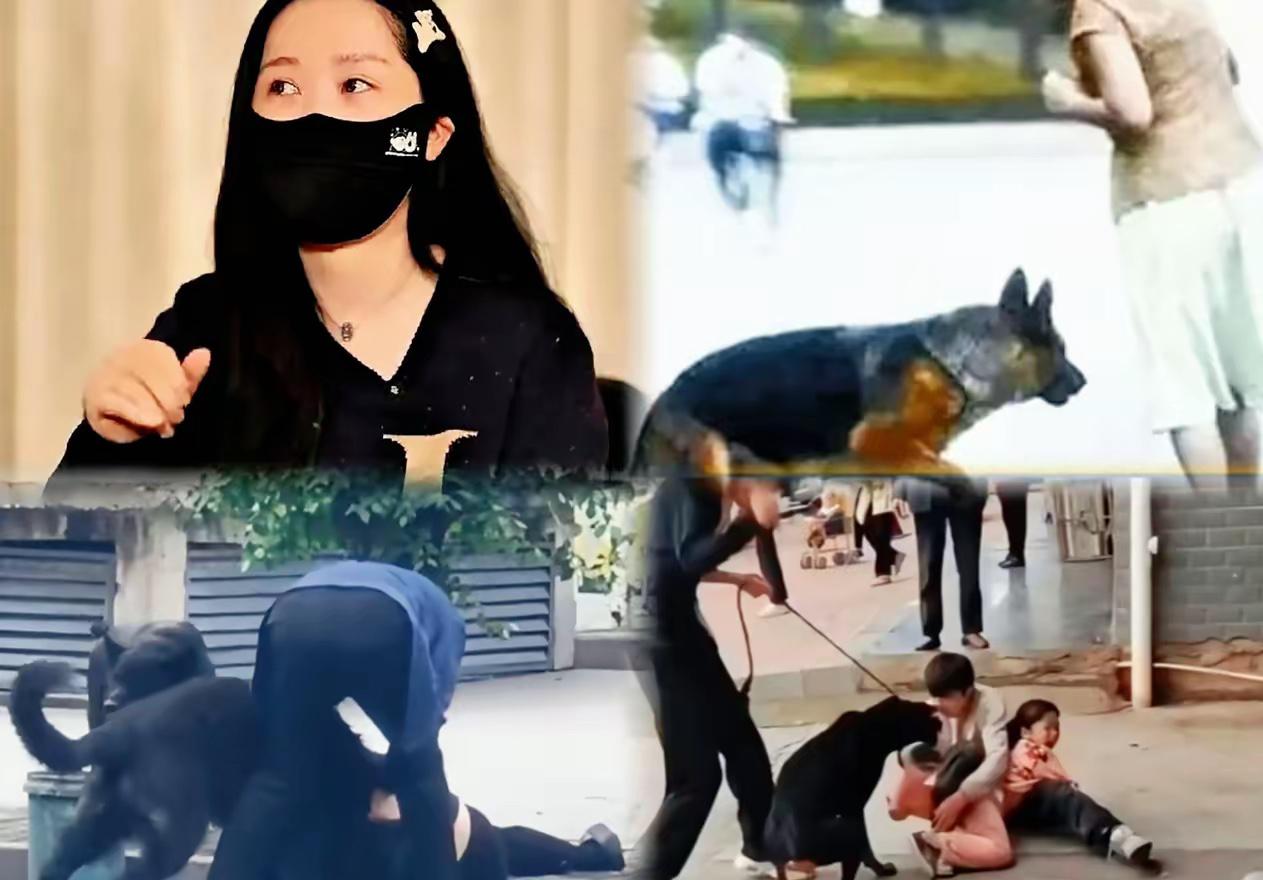 这事越品越别扭：毒狗的被判几年刑，那些让狗乱咬人、不牵绳的主人，凭啥只赔钱了事？