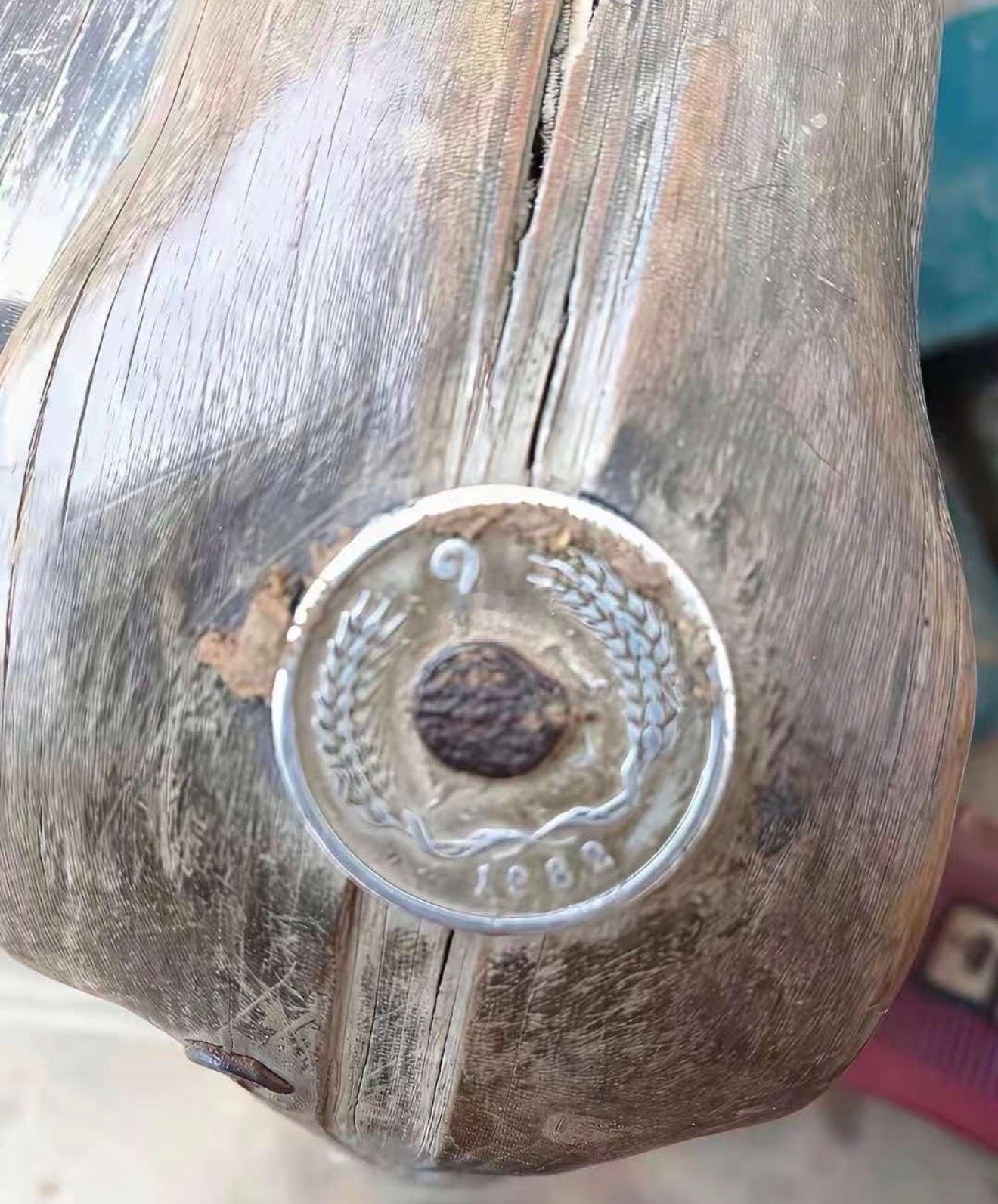爷爷钉在椅子上的硬币,我要不要抠下来？