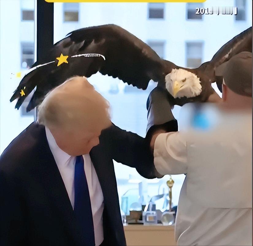 笑不活了，十年前一段被尘封的关于特朗普的花絮最近突然爆火，看完直接笑到捶桌。 