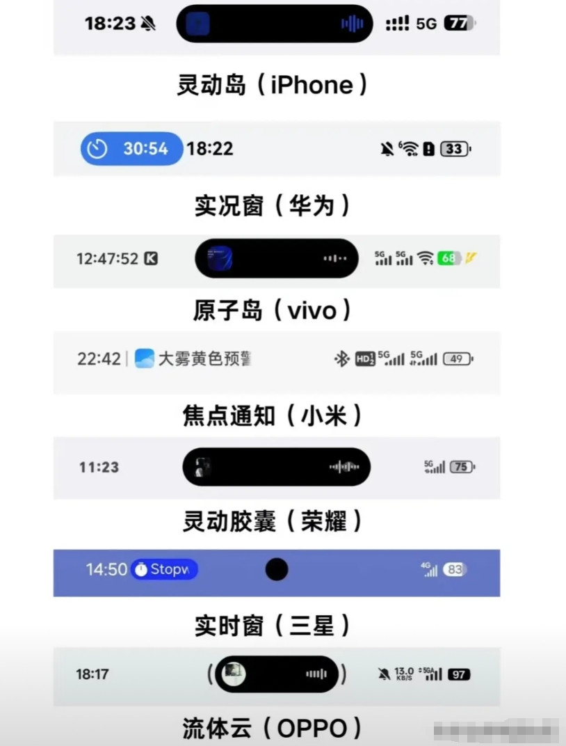 当年被骂上热搜的灵动岛，现在各大手机厂商基本都标配了。苹果灵动岛：2022年