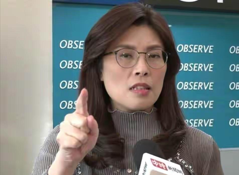 卢秀燕顶着台中市长的名头跑去华盛顿，把台海安全、军购、关税挨个谈了个遍，回台时罗