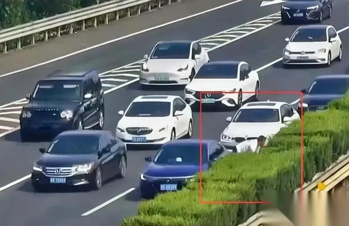 高速第一车道突然停车？不是故障，是夫妻俩要翻护栏——找项链？10月5号上