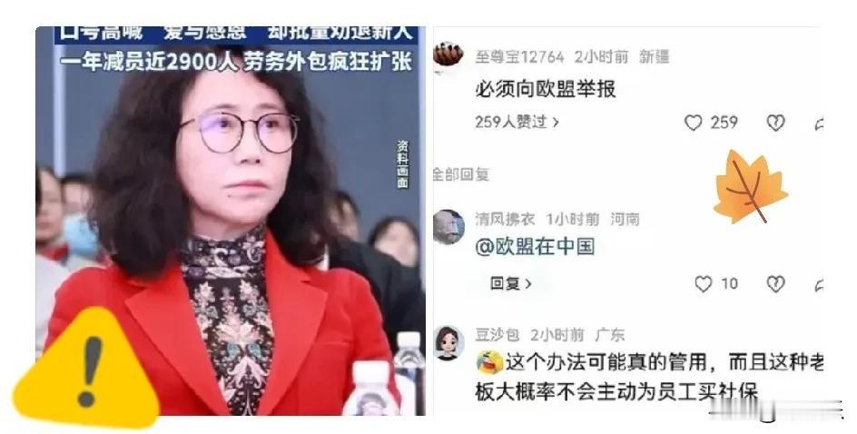 他们赌的是，应届生没力气闹到欧洲去。结果学生真把投诉材料递送给宝马、奔驰、大众等