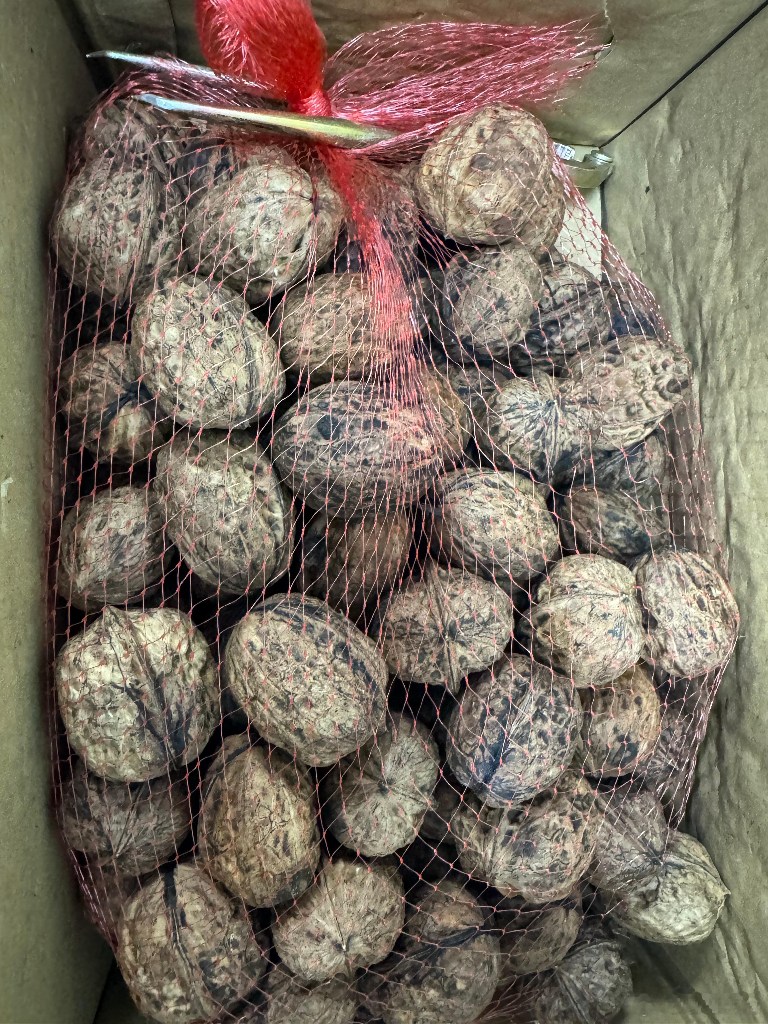 看得出来这是新鲜核桃不？收到了一箱攀枝花果园寄的生核桃，外表看起来跟干核桃区别不