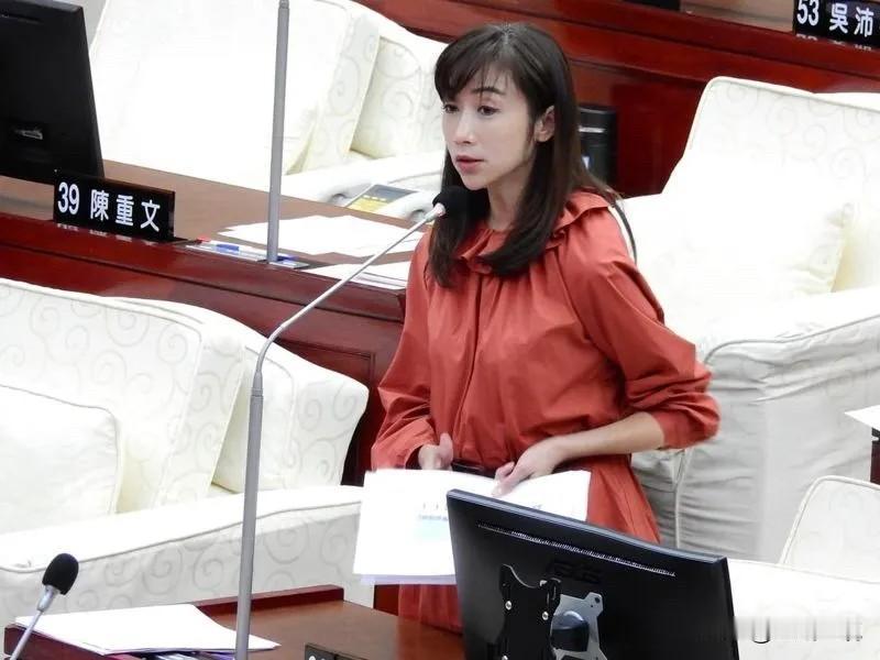 许淑华叫嚣：“更先进武器让敌人明白台湾难对付”针对赖清德今（11日）要求立院