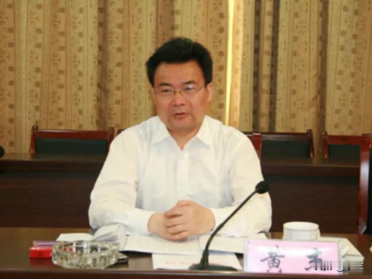 重庆48岁黄杰又上了热搜，1999年他参加了工作，在重庆两江新区深耕多年，