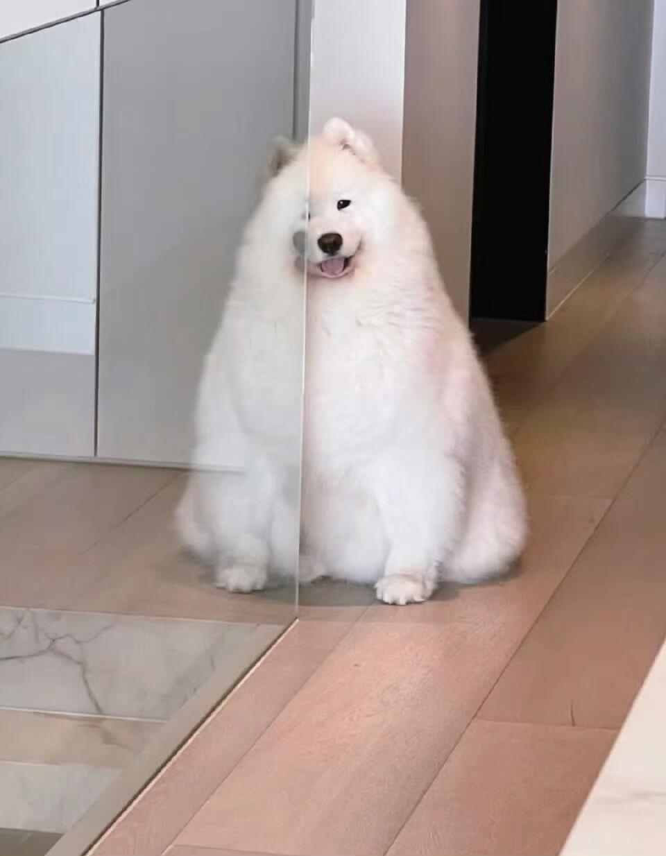还没吃早饭的朋友可以咬一口饭团子耶​​​