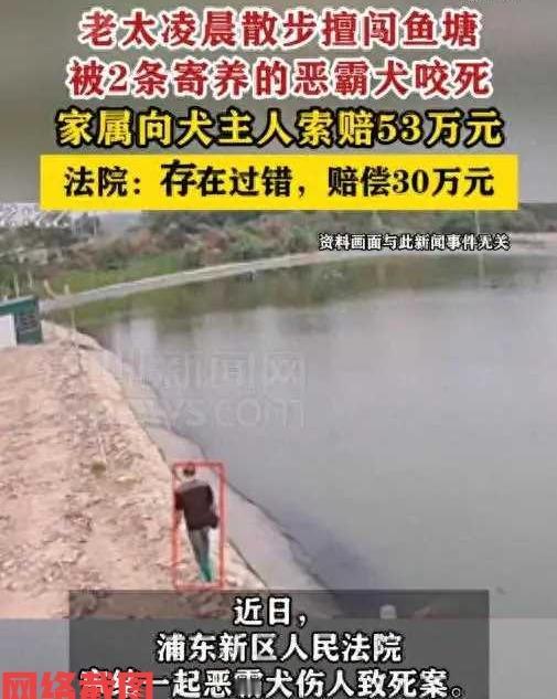 上海有名老太太凌晨出来散步。不知怎么擅闯进了一处鱼塘内，只是让老太太没有想到