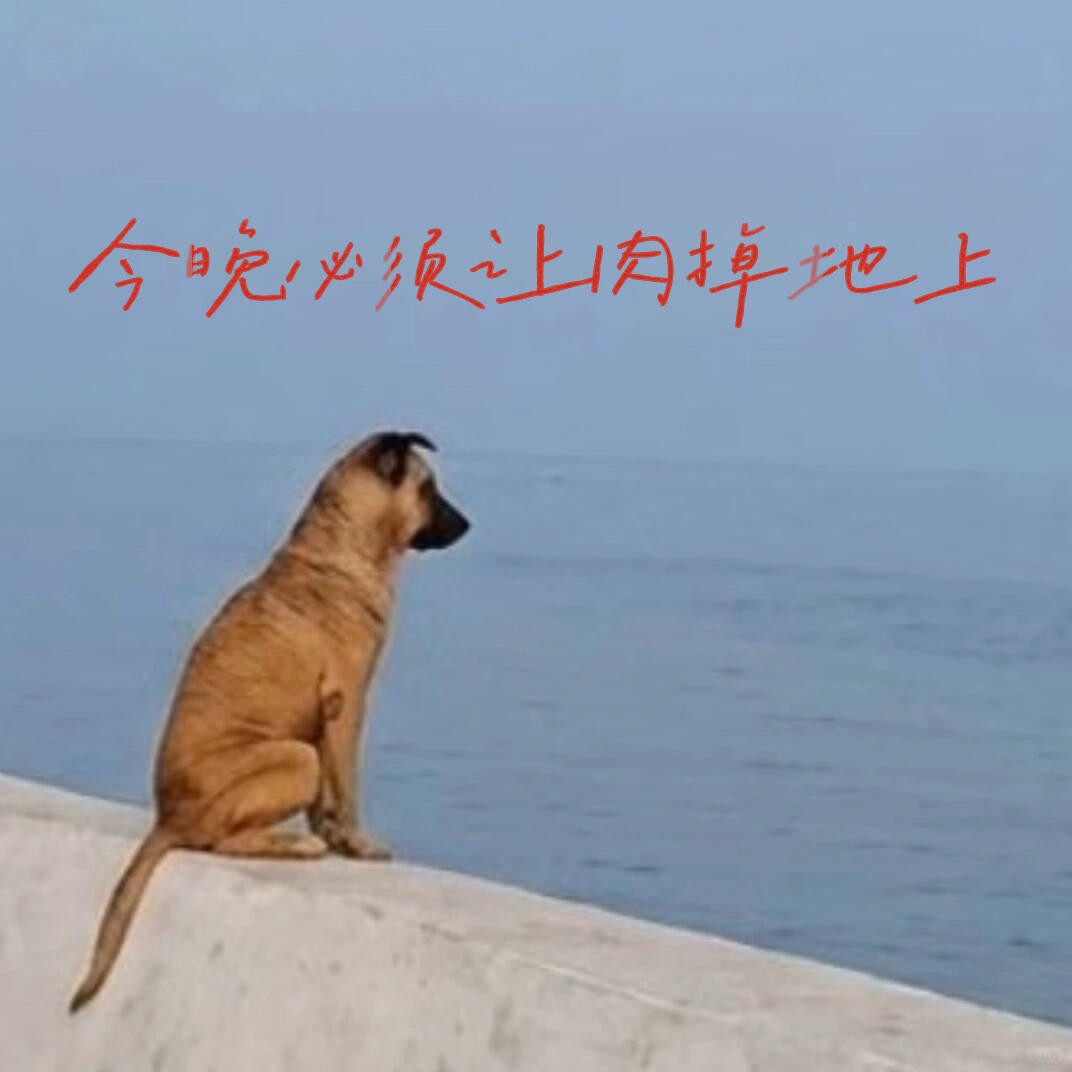 “我家狗在我吃掉我的哲学书之后”