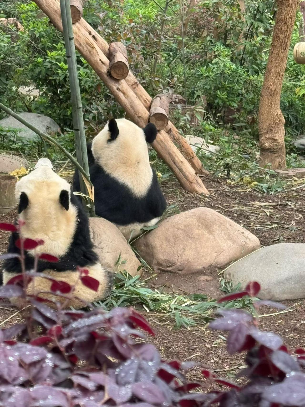 人这辈子，怎么开心怎么活，疼自己才是终身大事人这一辈子，说长不长，说短不短