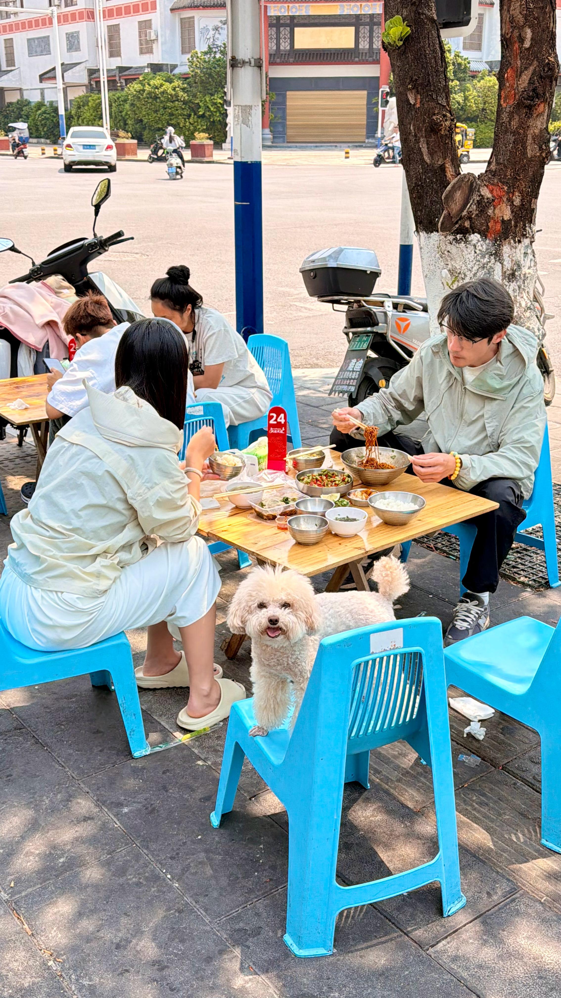 在云南，别担心遇到“一根筋”的领路人！💔来云南游玩，我从不局限于带你们吃特色菜