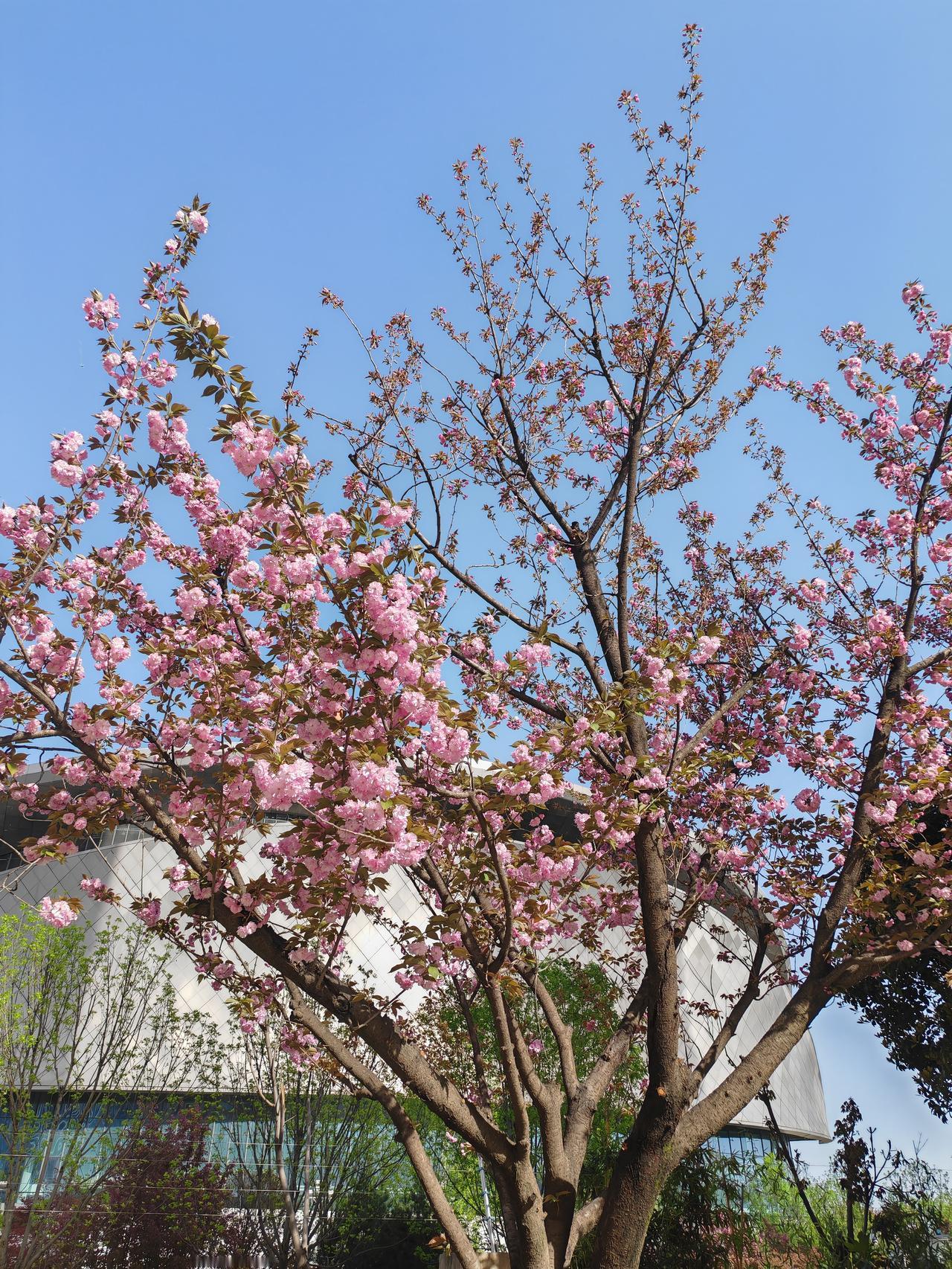 昨天，同事和我沟通股票，完了我们两个都笑了。说像我们这样的炒股，都是忙着给贡