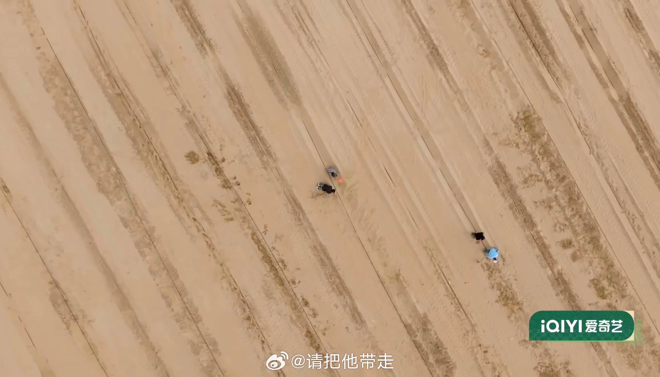 种地吧专挑苦地方去种地吧以为种地综艺就是插秧收麦，结果他们直接到治沙一线和流沙