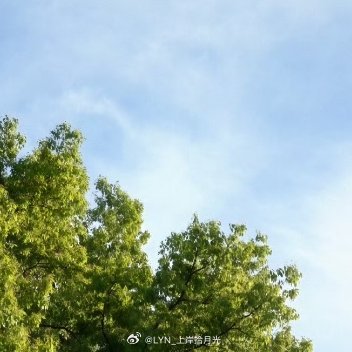 每日一善🌿阳光信用🌿每日一善周二继续加油！【☀️-较好互动指路hui