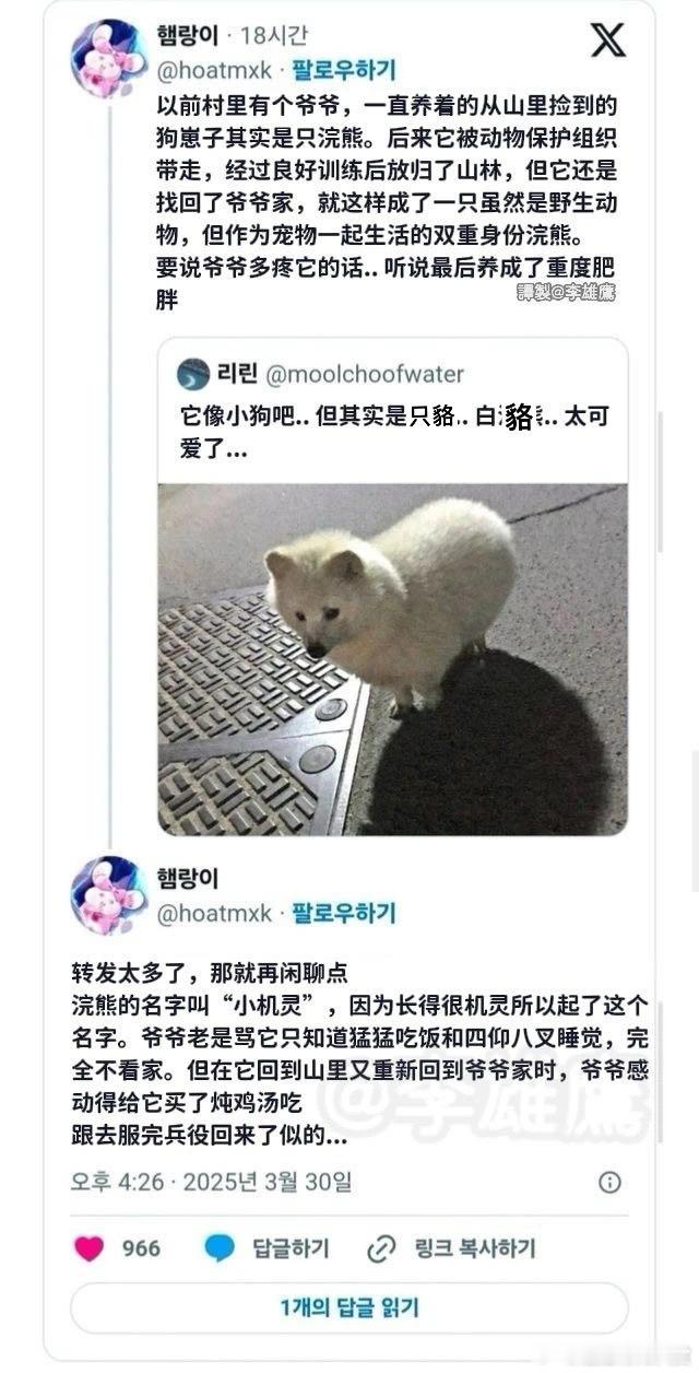 小浣狗？宠物卖萌中心​​​