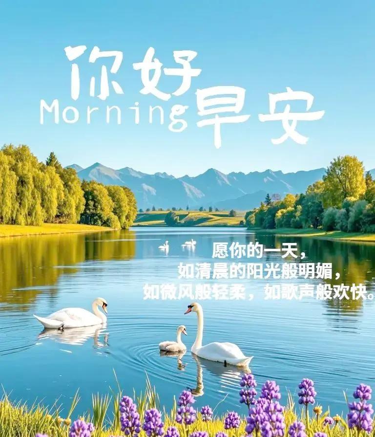 刷到星座博主说双子、狮子、天秤本周集体开挂。木星金星一起发力，三星座被点名事业