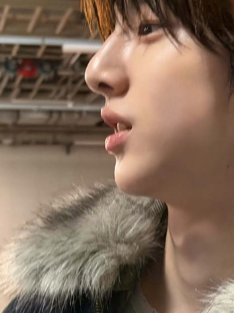 金主训这个意思是…奶奶也是女人啊