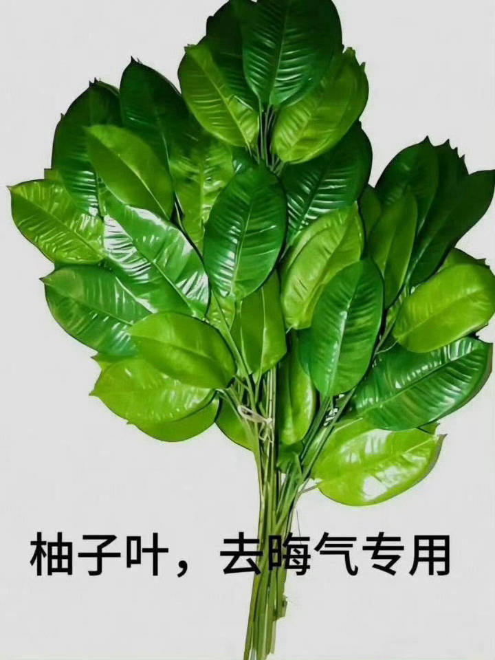 网传刘宇宁去歌手2026棍！衮！辊！