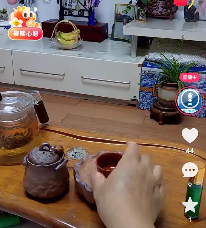 柴桑大姐说，是你们你们能放弃吗？再艰难也不会放弃，任凭他，风吹雨打，任凭他