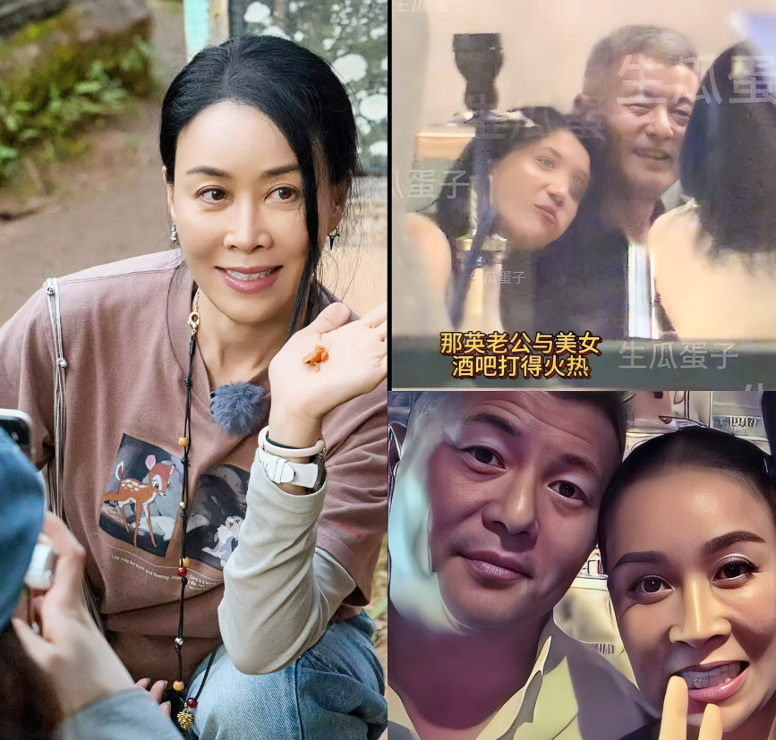 那英现在的心情，估计比吃了苍蝇还难受。她原本专心陪女儿在伦敦留学，没想到却发