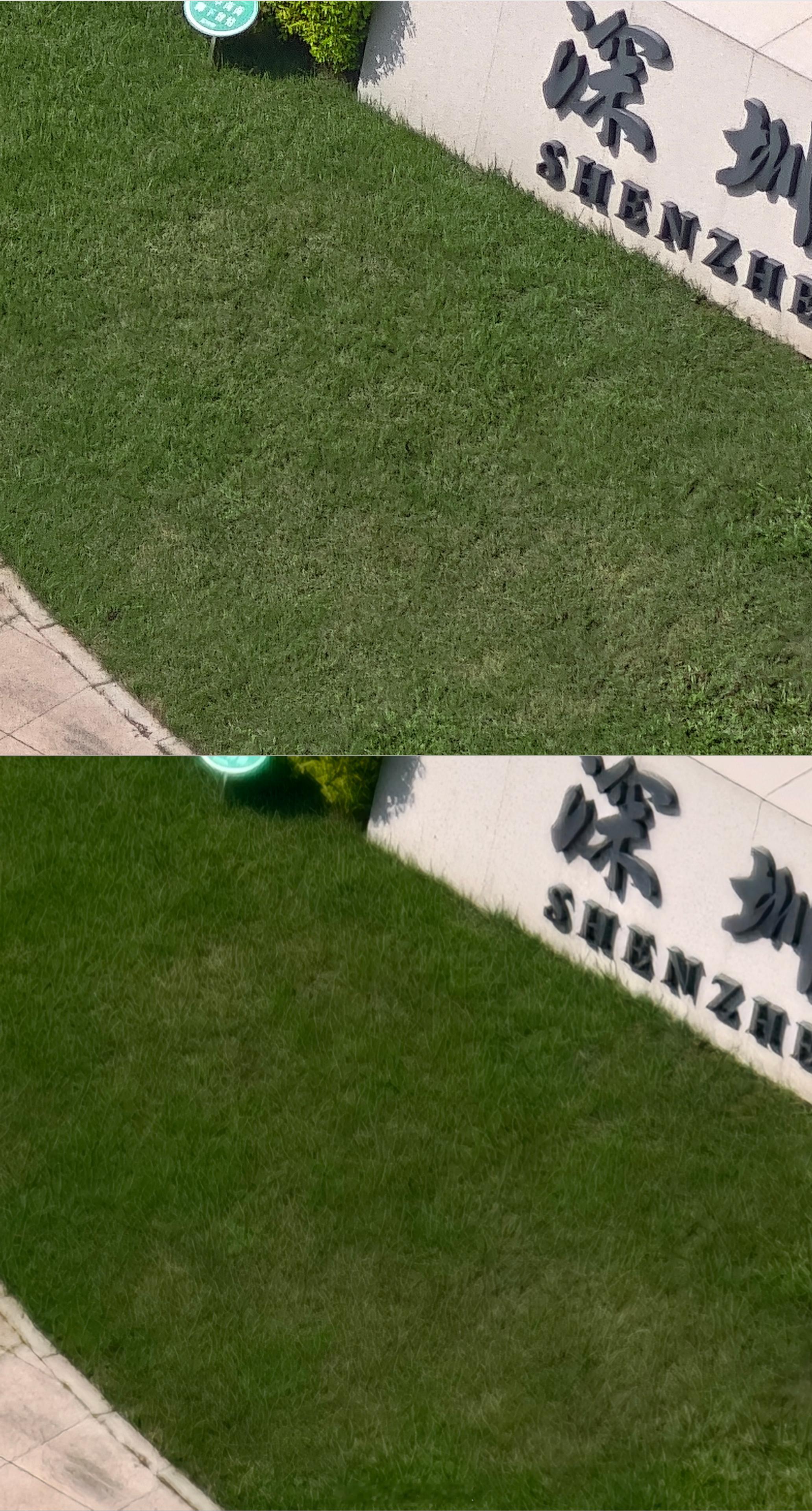 古法摄影vs当代AI摄影虽然99%的人会喜欢下面这种