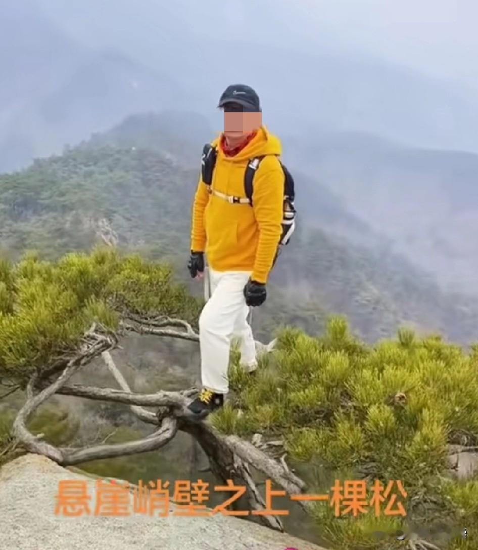 据说，刷到这个视频的网友都很失望😞。悬崖边，一棵松，一男子大摇大摆的走了过去