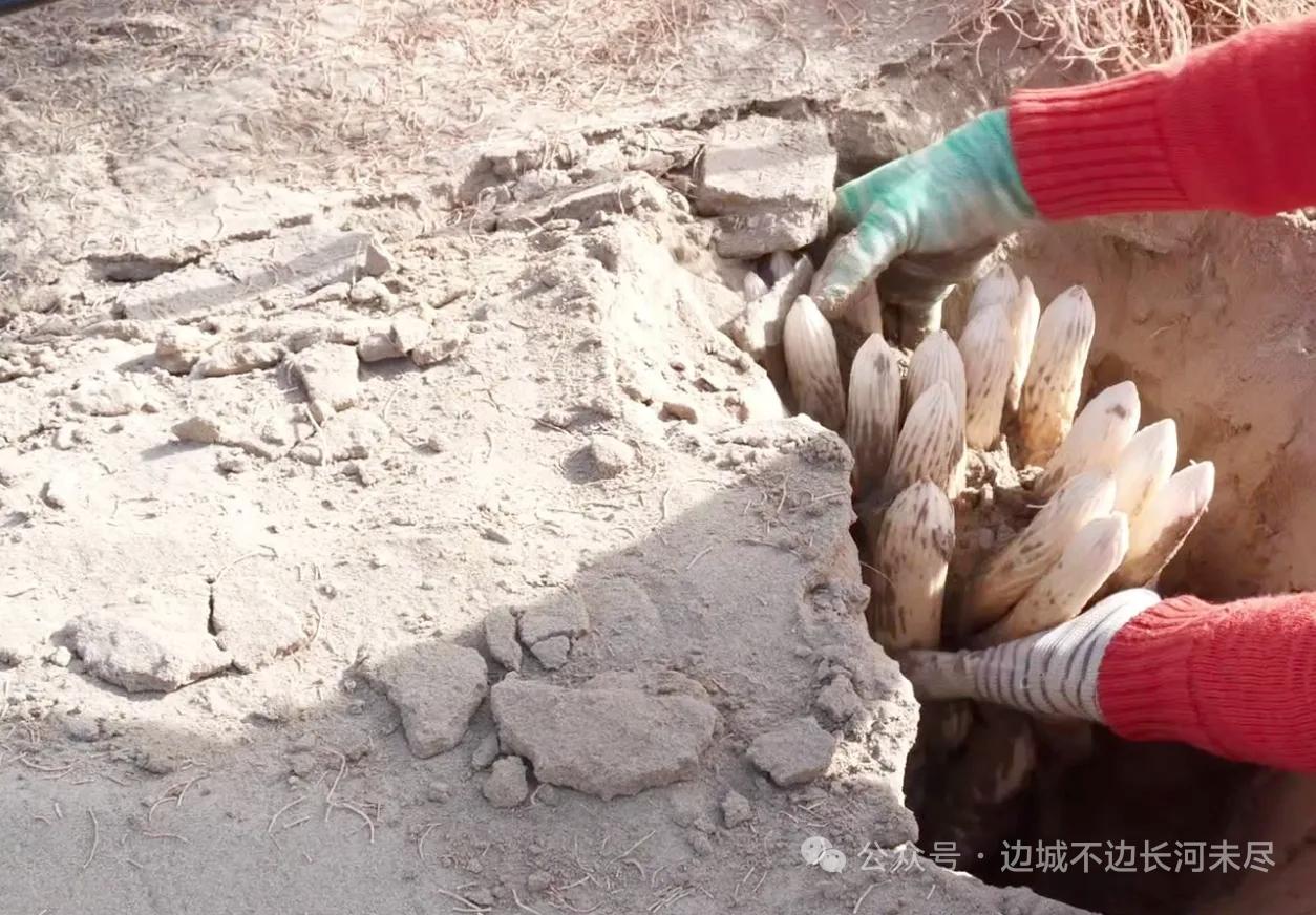 随手拍的风景照