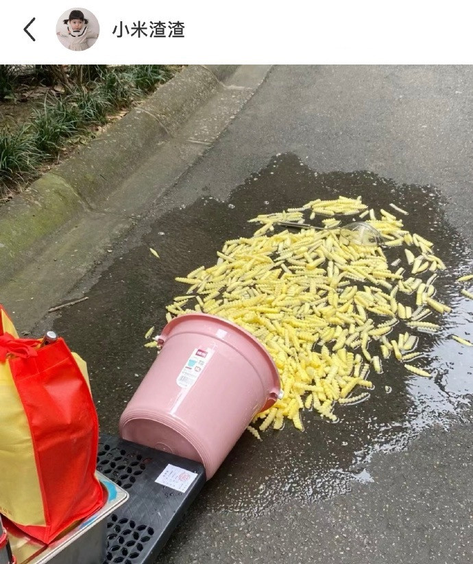 先帝创业未半而中道崩殂​​​