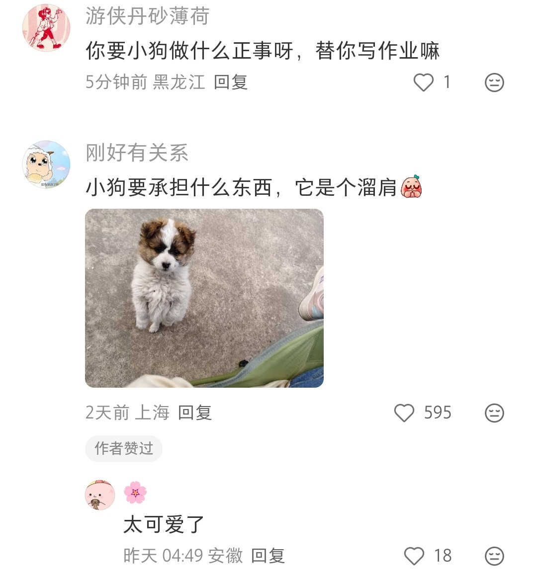 哈哈哈猫发的帖