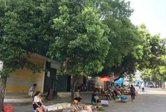 刚才路过一家店门口，平时是卖香烟、酒、水果的。和许多小店一样，应时卖起了纸钱和