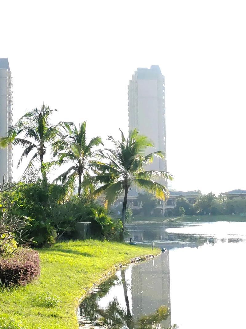 在海南过了好几个冬天，直到我把自家房子空着跑去三亚租房，一位东北邻居瞪大眼睛对我