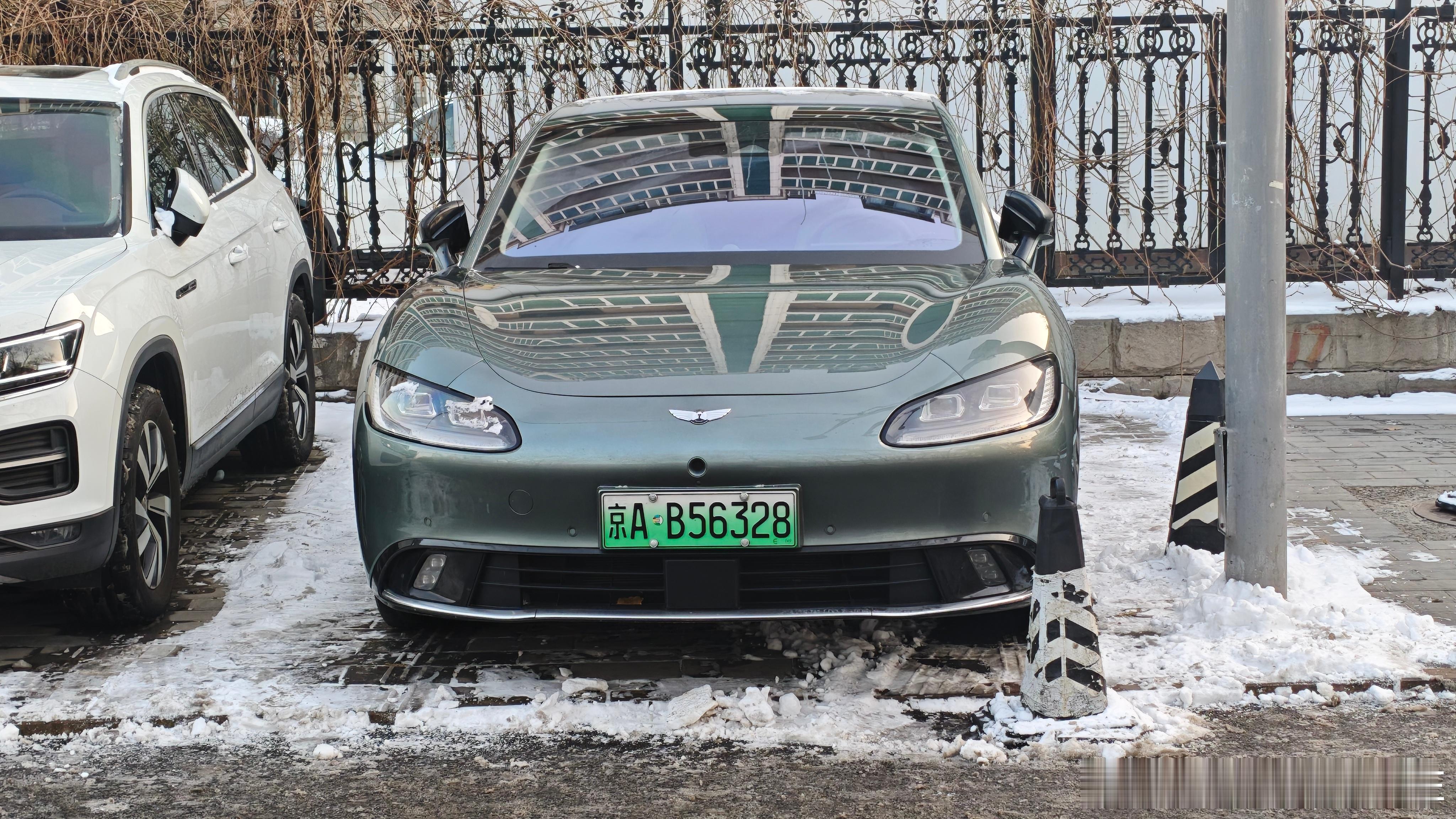 活着的远航马丁，这绝对是真爱了！