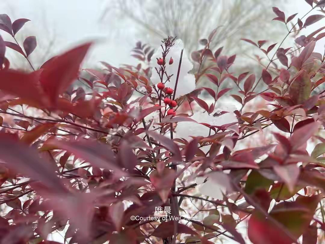 你有没有想过，你拼命攒下的房子车子，最后可能根本不归你？ICU住一个月，花掉
