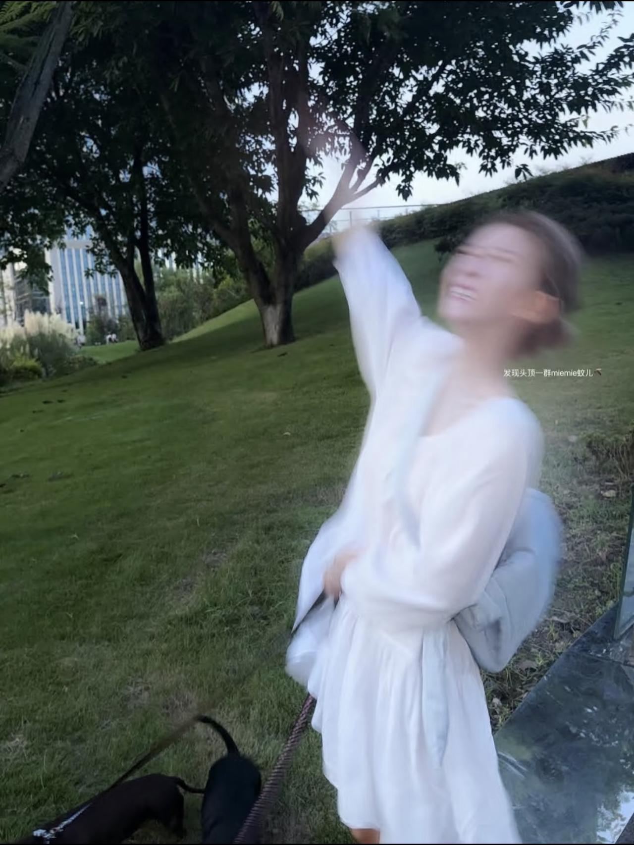 赵露思社交平台更新，第一张美美哒，第二张这就是她，那个搞笑的她。赵露思已经两